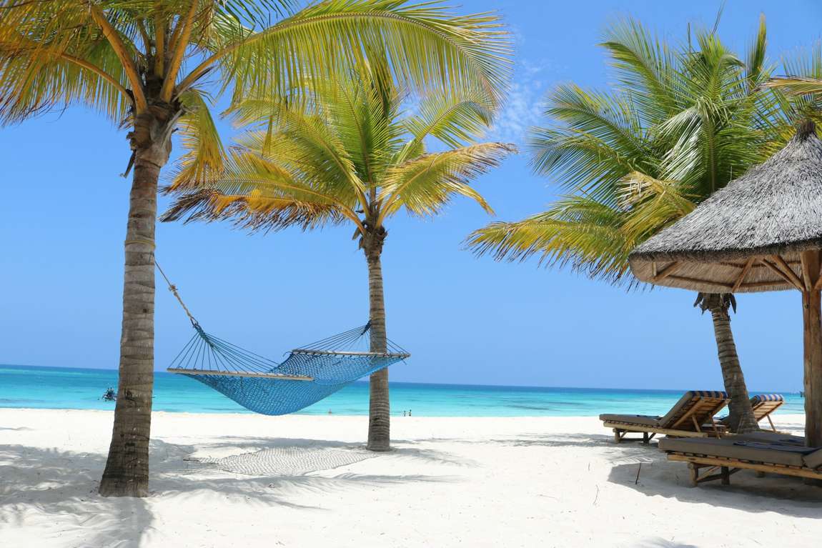 Palm-shaded garden with a hammock on the white sand near Amaan